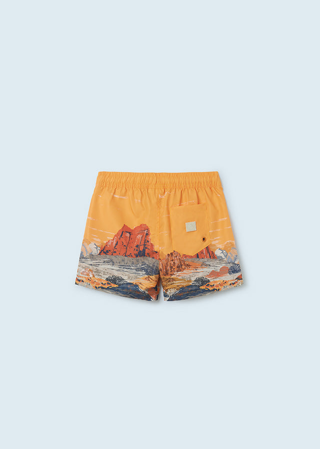 Swim Shorts Desert Design