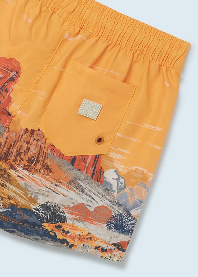 Swim Shorts Desert Design