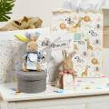Peter Rabbit Small Soft Toy - Blue