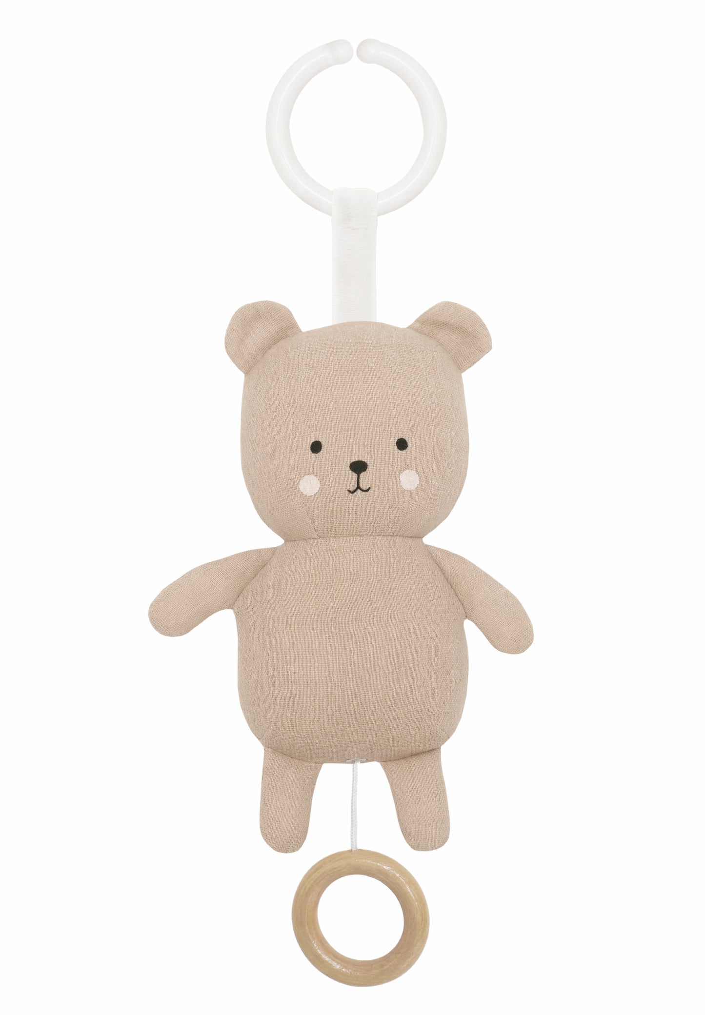 Musical teddy