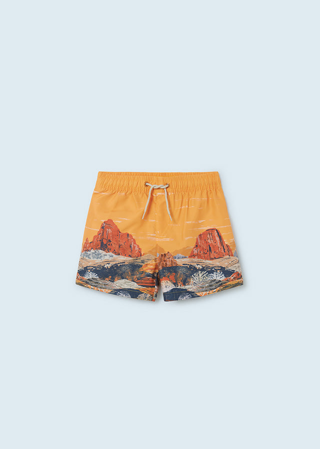 Swim Shorts Desert Design