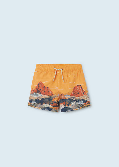 Swim Shorts Desert Design